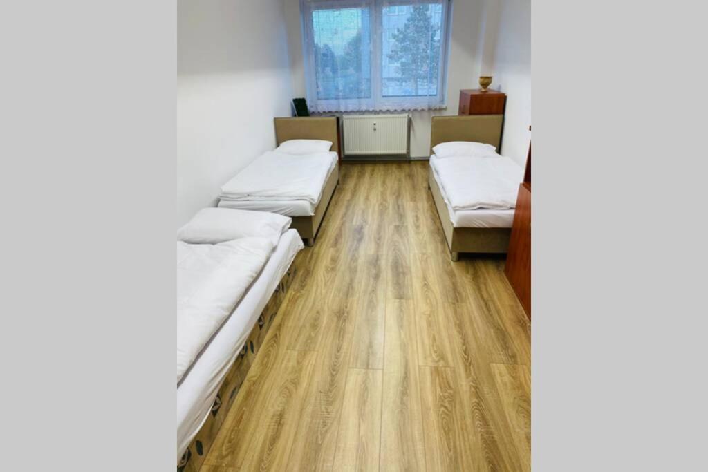 Apartman Solax, Ucnovska 8, Kosice Saca エクステリア 写真